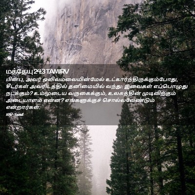 Picture 02 - மத்தேயு 24:3 TAMIRV - பின்பு, அவர் - Bible Verse Picture