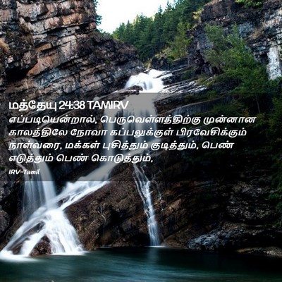 Picture 02 - மத்தேயு 24:38 TAMIRV - எப்படியென்றால், - Bible Verse Picture