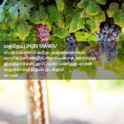 Picture 02 - மத்தேயு 24:39 TAMIRV - பெருவெள்ளம் வந்து - Bible Verse Picture