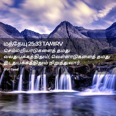 Picture 02 - மத்தேயு 25:33 TAMIRV - செம்மறியாடுகளைத் - Bible Verse Picture