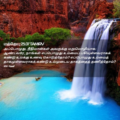 Picture 02 - மத்தேயு 25:37 TAMIRV - அப்பொழுது, - Bible Verse Picture