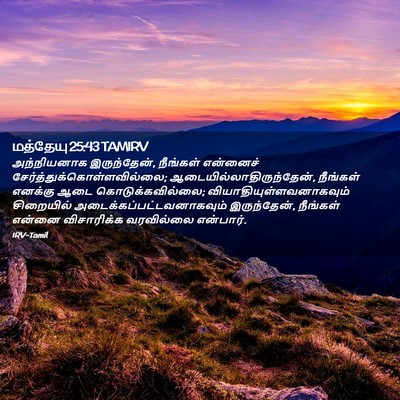 Picture 02 - மத்தேயு 25:43 TAMIRV - அந்நியனாக - Bible Verse Picture