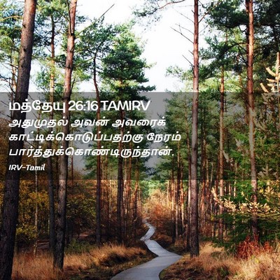 Picture 02 - மத்தேயு 26:16 TAMIRV - அதுமுதல் அவன் - Bible Verse Picture