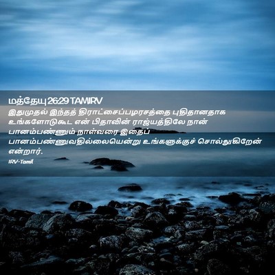 Picture 02 - மத்தேயு 26:29 TAMIRV - இதுமுதல் இந்தத் - Bible Verse Picture