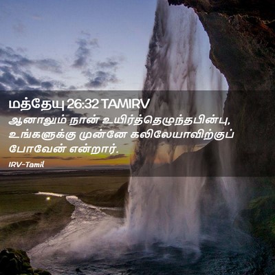 Picture 02 - மத்தேயு 26:32 TAMIRV - ஆனாலும் நான் - Bible Verse Picture