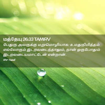 Picture 02 - மத்தேயு 26:33 TAMIRV - பேதுரு அவருக்கு - Bible Verse Picture