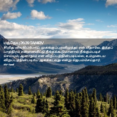 Picture 02 - மத்தேயு 26:39 TAMIRV - சிறிது - Bible Verse Picture
