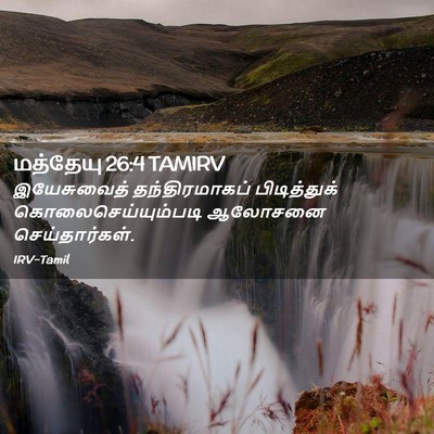Picture 02 - மத்தேயு 26:4 TAMIRV - இயேசுவைத் - Bible Verse Picture