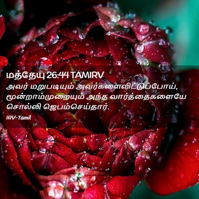 Picture 02 - மத்தேயு 26:44 TAMIRV - அவர் மறுபடியும் - Bible Verse Picture