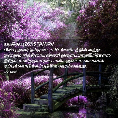 Picture 02 - மத்தேயு 26:45 TAMIRV - பின்பு அவர் - Bible Verse Picture