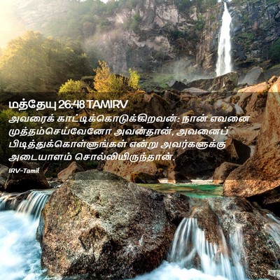 Picture 02 - மத்தேயு 26:48 TAMIRV - அவரைக் - Bible Verse Picture