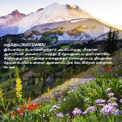 Picture 02 - மத்தேயு 26:63 TAMIRV - இயேசுவோ - Bible Verse Picture
