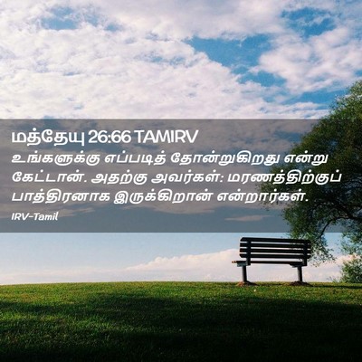 Picture 02 - மத்தேயு 26:66 TAMIRV - உங்களுக்கு - Bible Verse Picture