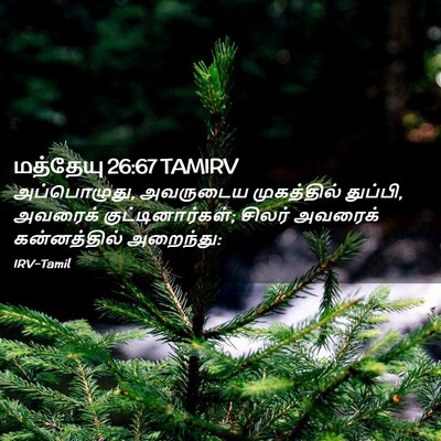 Picture 02 - மத்தேயு 26:67 TAMIRV - அப்பொழுது, - Bible Verse Picture