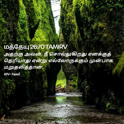 Picture 02 - மத்தேயு 26:70 TAMIRV - அதற்கு அவன்: நீ - Bible Verse Picture