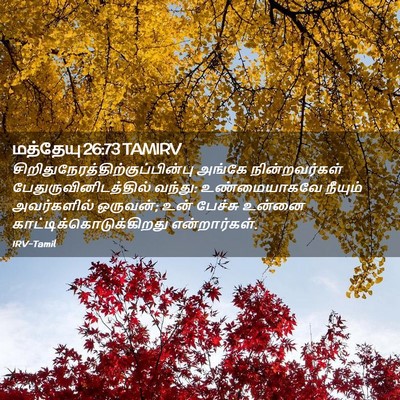 Picture 02 - மத்தேயு 26:73 TAMIRV -  - Bible Verse Picture