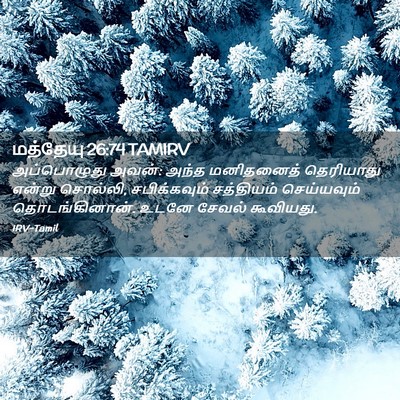 Picture 02 - மத்தேயு 26:74 TAMIRV - அப்பொழுது அவன்: - Bible Verse Picture