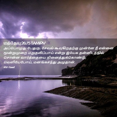 Picture 02 - மத்தேயு 26:75 TAMIRV - அப்பொழுது பேதுரு: - Bible Verse Picture