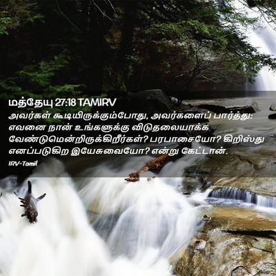 Picture 02 - மத்தேயு 27:18 TAMIRV - அவர்கள் - Bible Verse Picture