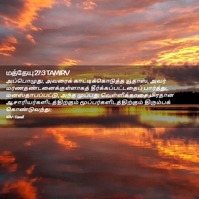 Picture 02 - மத்தேயு 27:3 TAMIRV - அப்பொழுது, அவரைக் - Bible Verse Picture