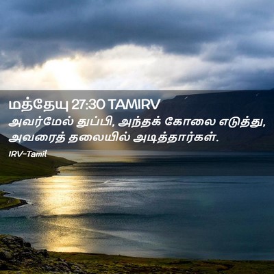 Picture 02 - மத்தேயு 27:30 TAMIRV - அவர்மேல் துப்பி, - Bible Verse Picture
