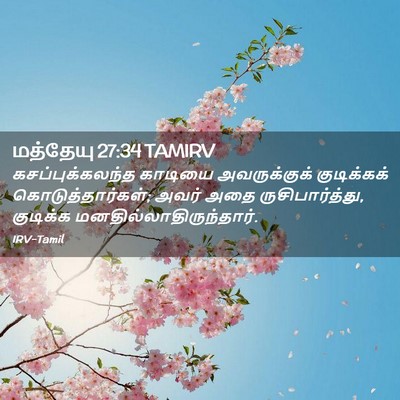 Picture 02 - மத்தேயு 27:34 TAMIRV - கசப்புக்கலந்த - Bible Verse Picture