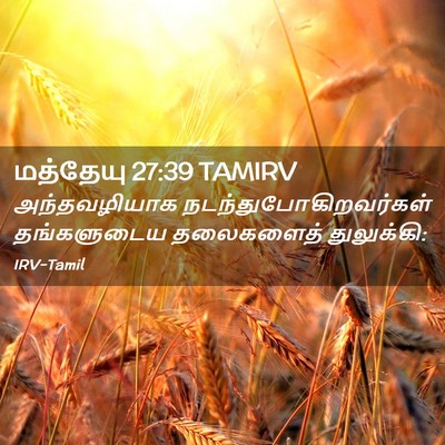 Picture 02 - மத்தேயு 27:39 TAMIRV - அந்தவழியாக - Bible Verse Picture