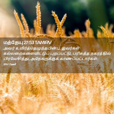 Picture 02 - மத்தேயு 27:53 TAMIRV - அவர் - Bible Verse Picture
