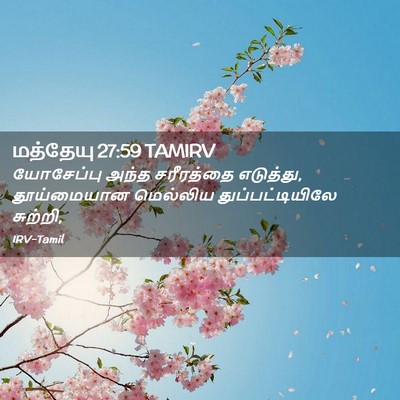 Picture 02 - மத்தேயு 27:59 TAMIRV - யோசேப்பு அந்த - Bible Verse Picture