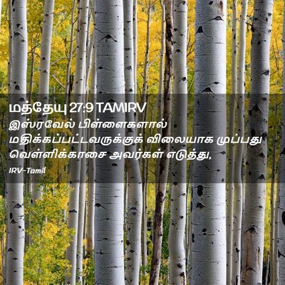 Picture 02 - மத்தேயு 27:9 TAMIRV - இஸ்ரவேல் - Bible Verse Picture