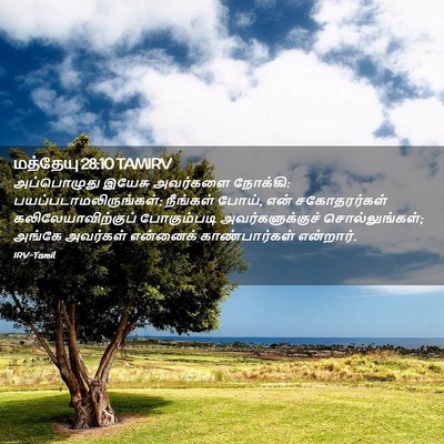 Picture 02 - மத்தேயு 28:10 TAMIRV - அப்பொழுது இயேசு - Bible Verse Picture