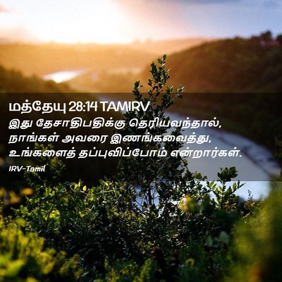 Picture 02 - மத்தேயு 28:14 TAMIRV - இது தேசாதிபதிக்கு - Bible Verse Picture