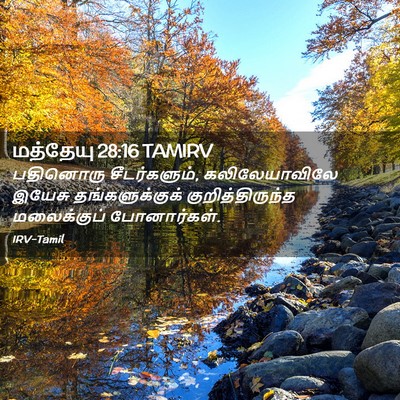 Picture 02 - மத்தேயு 28:16 TAMIRV - பதினொரு - Bible Verse Picture
