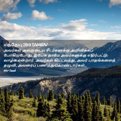 Picture 02 - மத்தேயு 28:9 TAMIRV - அவர்கள் அவருடைய - Bible Verse Picture