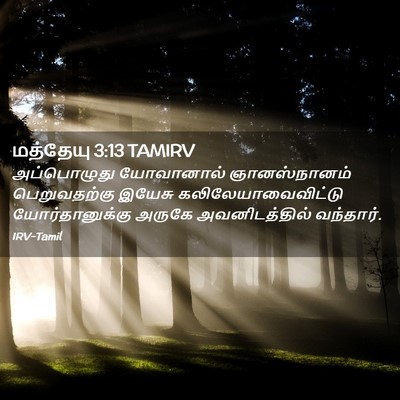 Picture 02 - மத்தேயு 3:13 TAMIRV - அப்பொழுது - Bible Verse Picture