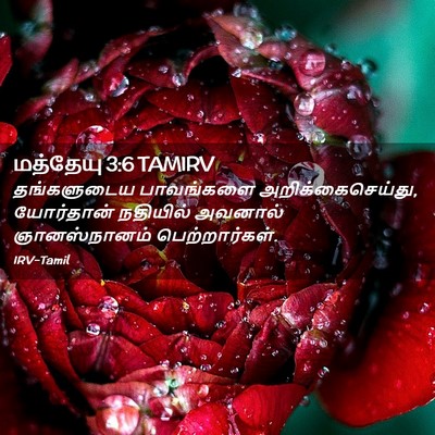 Picture 02 - மத்தேயு 3:6 TAMIRV - தங்களுடைய - Bible Verse Picture