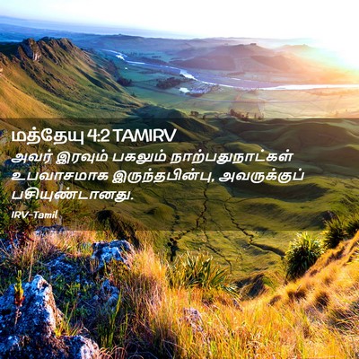 Picture 02 - மத்தேயு 4:2 TAMIRV - அவர் இரவும் - Bible Verse Picture