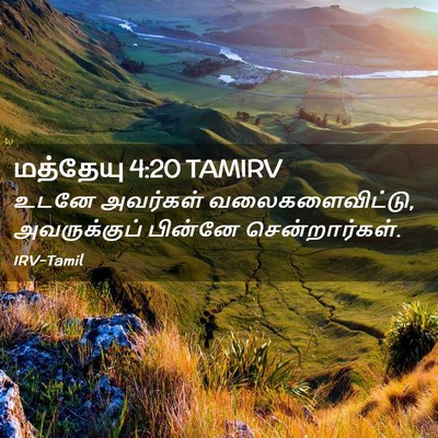 Picture 02 - மத்தேயு 4:20 TAMIRV - உடனே அவர்கள் - Bible Verse Picture