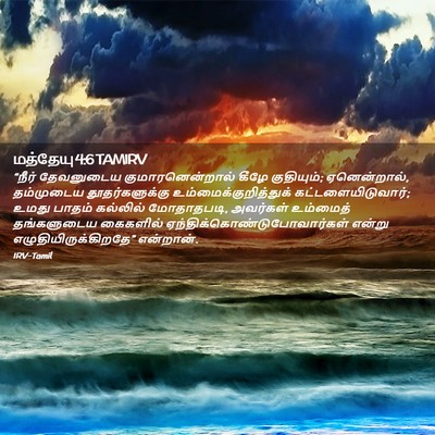 Picture 02 - மத்தேயு 4:6 TAMIRV - “நீர் தேவனுடைய - Bible Verse Picture