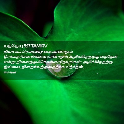 Picture 02 - மத்தேயு 5:17 TAMIRV -  - Bible Verse Picture