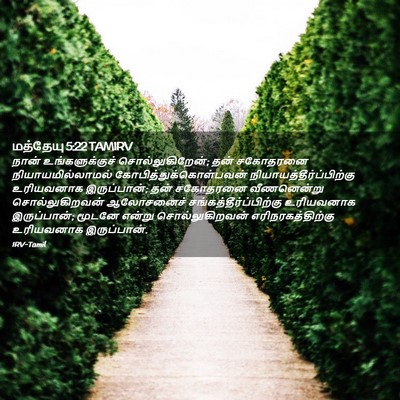 Picture 02 - மத்தேயு 5:22 TAMIRV - நான் உங்களுக்குச் - Bible Verse Picture