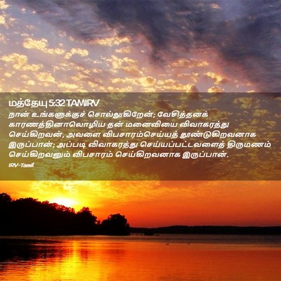 Picture 02 - மத்தேயு 5:32 TAMIRV - நான் உங்களுக்குச் - Bible Verse Picture