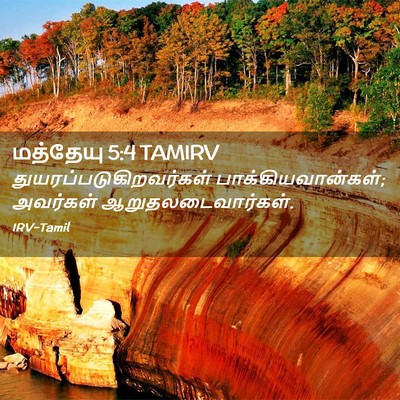Picture 02 - மத்தேயு 5:4 TAMIRV -  - Bible Verse Picture