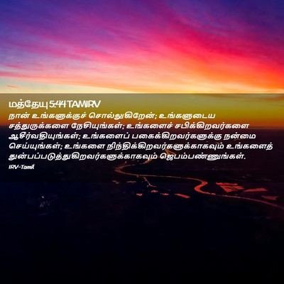 Picture 02 - மத்தேயு 5:44 TAMIRV - நான் உங்களுக்குச் - Bible Verse Picture