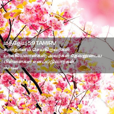 Picture 02 - மத்தேயு 5:9 TAMIRV - சமாதானம் - Bible Verse Picture