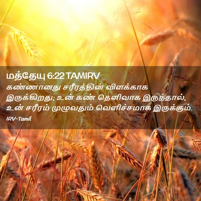 Picture 02 - மத்தேயு 6:22 TAMIRV - கண்ணானது - Bible Verse Picture