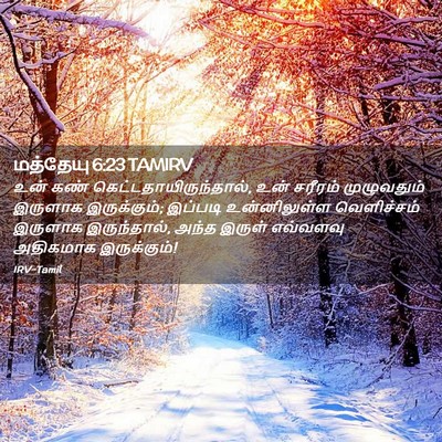 Picture 02 - மத்தேயு 6:23 TAMIRV - உன் கண் - Bible Verse Picture