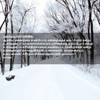 Picture 02 - மத்தேயு 6:25 TAMIRV - ஆகவே, என்னத்தை - Bible Verse Picture