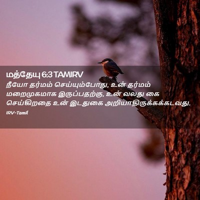 Picture 02 - மத்தேயு 6:3 TAMIRV - நீயோ தர்மம் - Bible Verse Picture