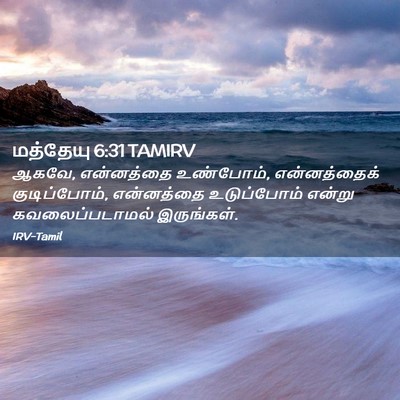 Picture 02 - மத்தேயு 6:31 TAMIRV - ஆகவே, என்னத்தை - Bible Verse Picture